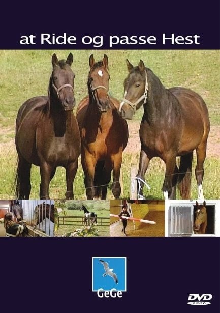Ride og passe hest, målgruppe 7-12 år / dvd