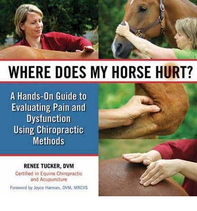Hvor har min hest smerter