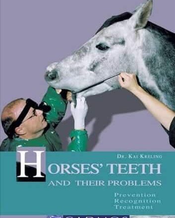 Hestens tænder, problemer og hestetandpleje: Hestetandpleje er vigtigt for hestens sundhed.