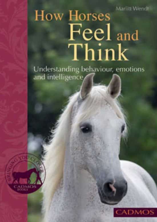 Hvordan heste tænker og føler / bog
