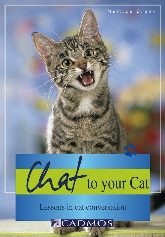 Snak med din kat / bog