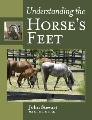 Forstå hestens hove / bog