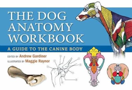 The Dog Anatomy Workbook A guide to the canine body / Hundens anatomi, arbejdsbog