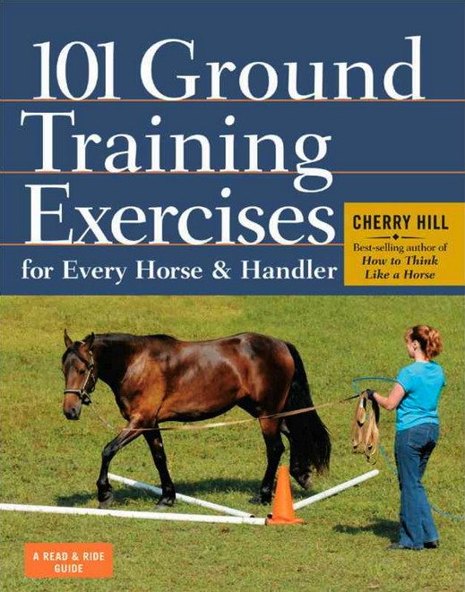 Billede af 101 øvelser til grunduddannelse af hest og rytter / bog