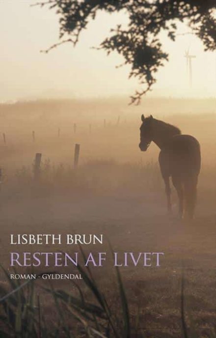 Resten af livet, Lisbeth Brun / roman