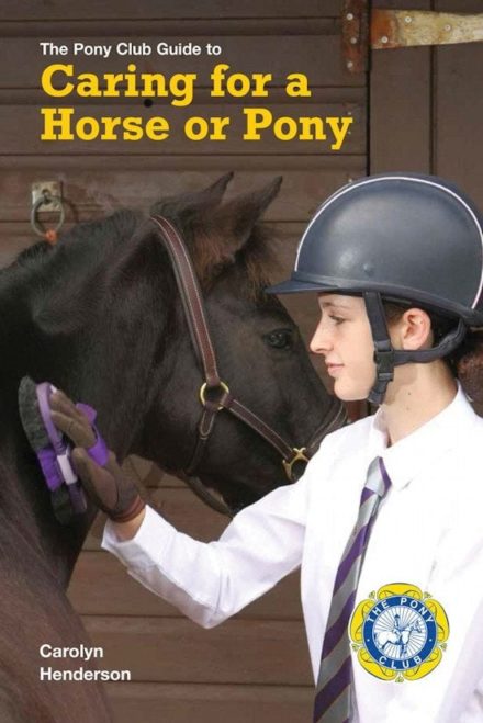 Pleje af hest eller pony