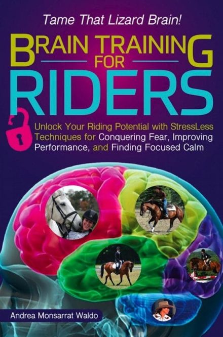 Mentaltræning for ryttere Brain Training for Riders