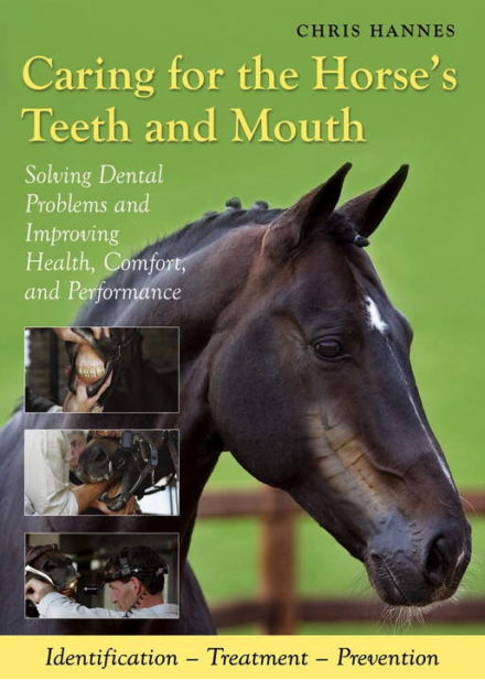 Hestetandpleje med fokus på tandproblemer, sundhed og præstation / bog