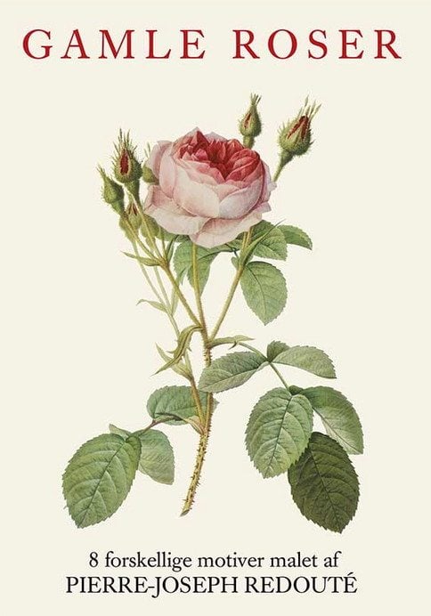 Brevkort med motiver af gamle roser