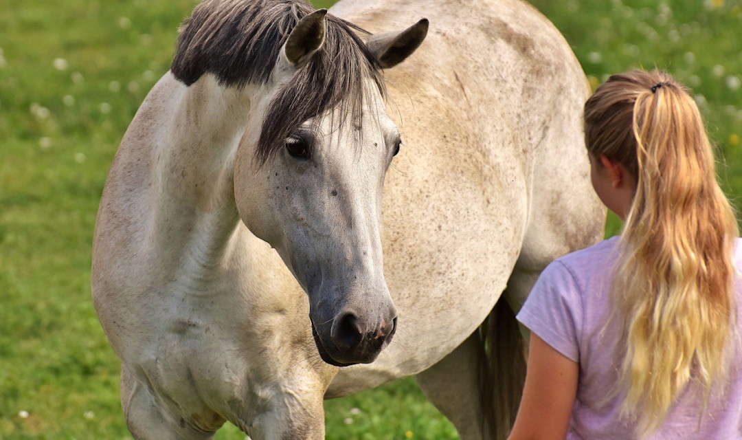 Hesteforståelse er noget du skal ville. Læs hvorfor