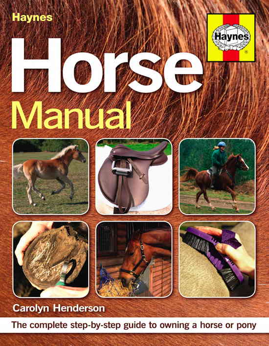 Håndbog for 'nybagte' hesteejere / bog