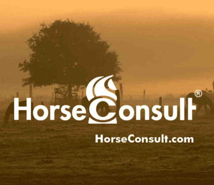 Hesterådgivning | Viden | Webshop | Vejviser