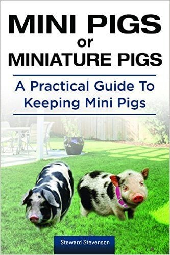 Mini- og miniaturegrise. Guide til hold af minigrise