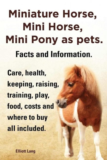 Miniatureheste. Mini-heste. Mini-ponyer som kæledyr