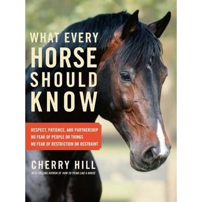 Hvad enhver hest bør vide