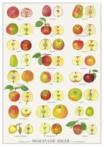 Plakat med æblesorter