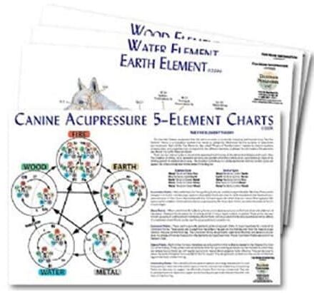 Hundens meridianer med de 5 elementer / Canine 5-Element Chart Sets