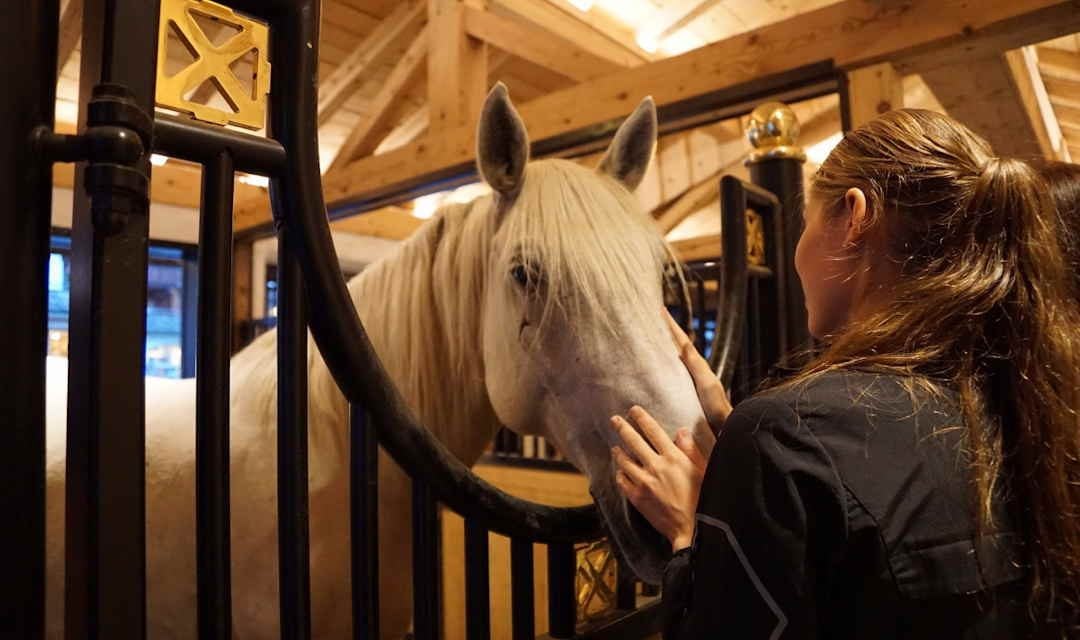 Samarbejde mellem hesteholder, konsulent og dyrlæge kommer hestene til gode