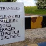 Gamle myter om kværke hos heste