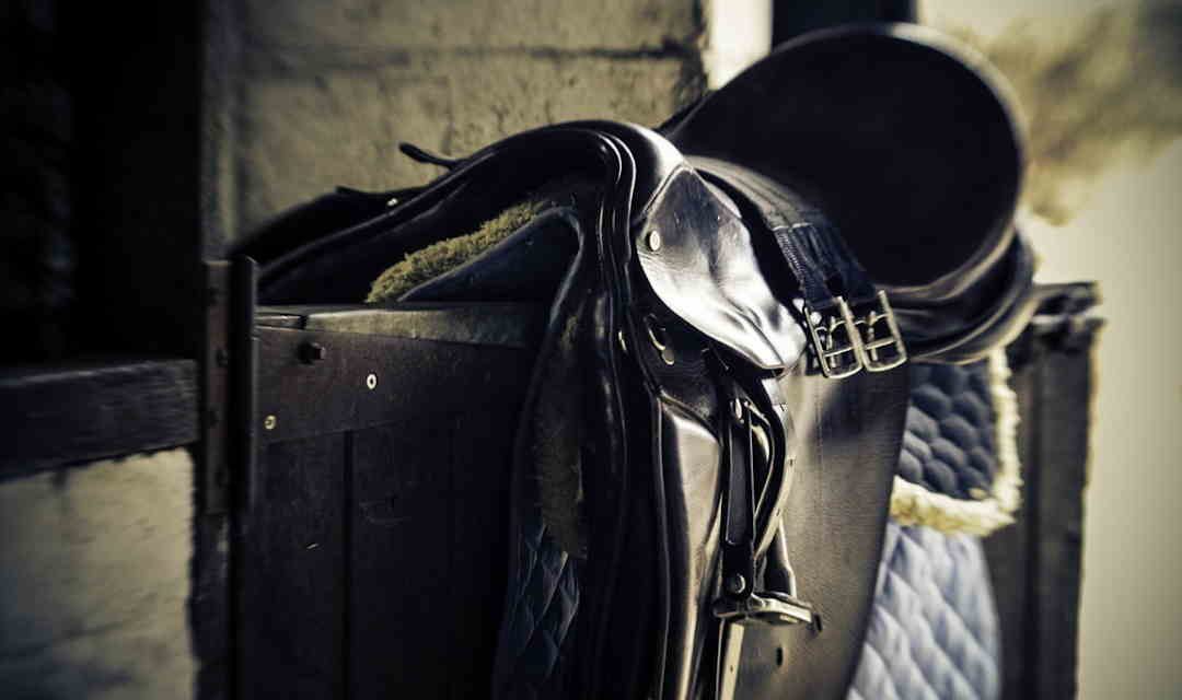 Gi’r din sadel hesten smerter? Se hvilke symptomer du skal kigge efter