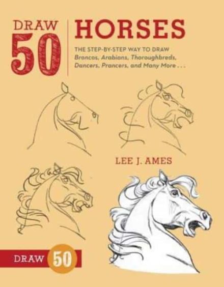 Lær at tegne 50 heste