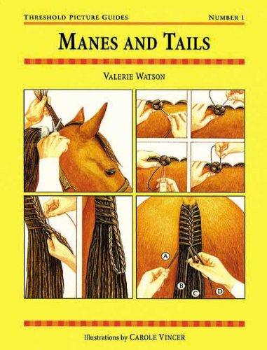 Manes and tails. Threshold Picture Guide 1 / Stævnefletninger