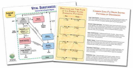 Zang-Fu organsystemer & Ying-Yang / Zang-Fu Patterns & Vital Substances Chart