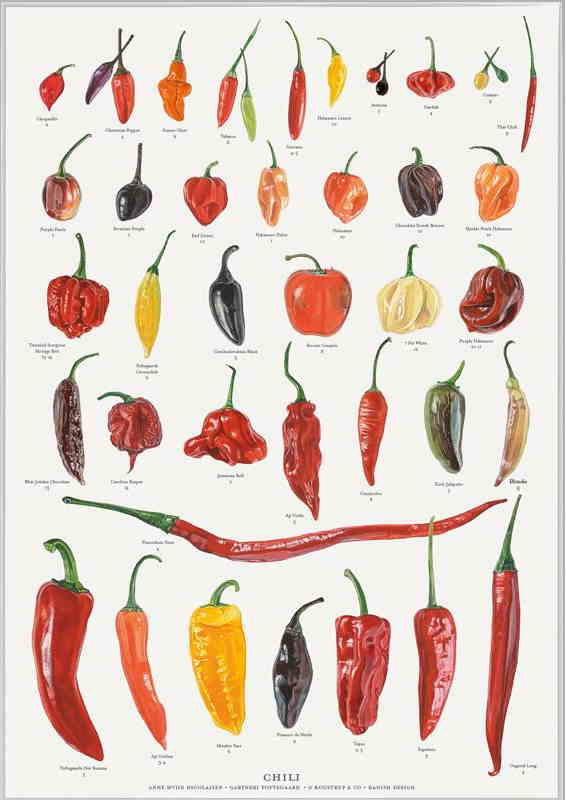 Chili & Tomater / Sæt á 2 plakater