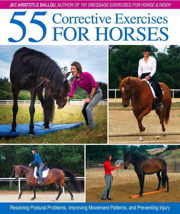 Billede af 55 øvelser til forbedring af hestens kropsholdning / bog