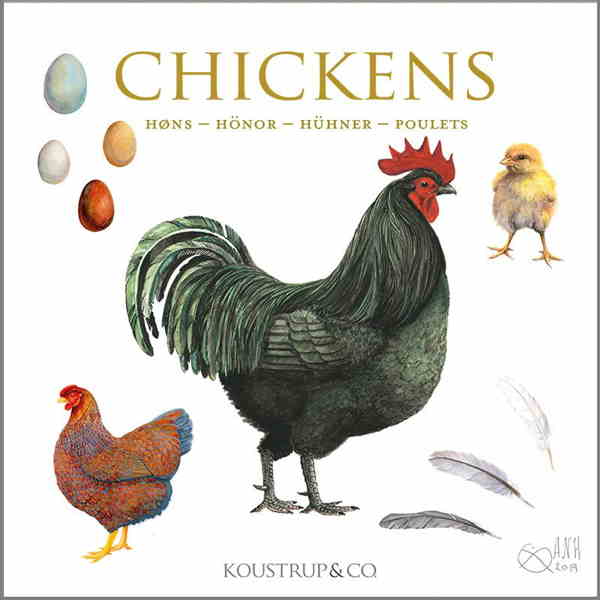 Brevkort med høns, fjer, æg og kyllinger