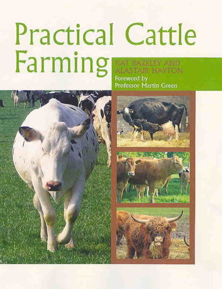 Kvæghold i praksis Practical Cattle Farming
