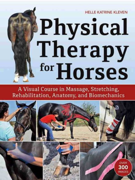 Fysioterapi til heste. Massage, strækøvelser, genoptræning, anatomi og biomekanik