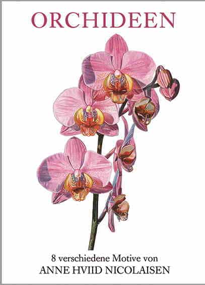 Orkidéer / 8 brevkort med kuverter