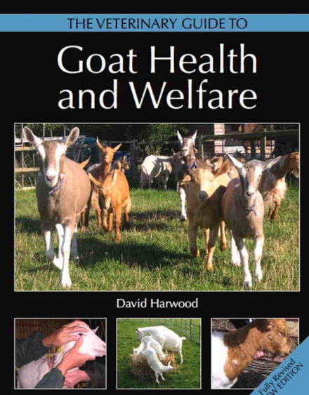 Dyrlægens guide til geders sundhed og velfærd