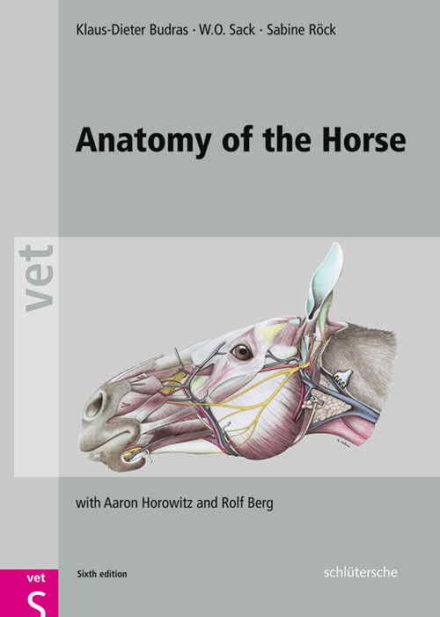 Atlas med hestens anatomi