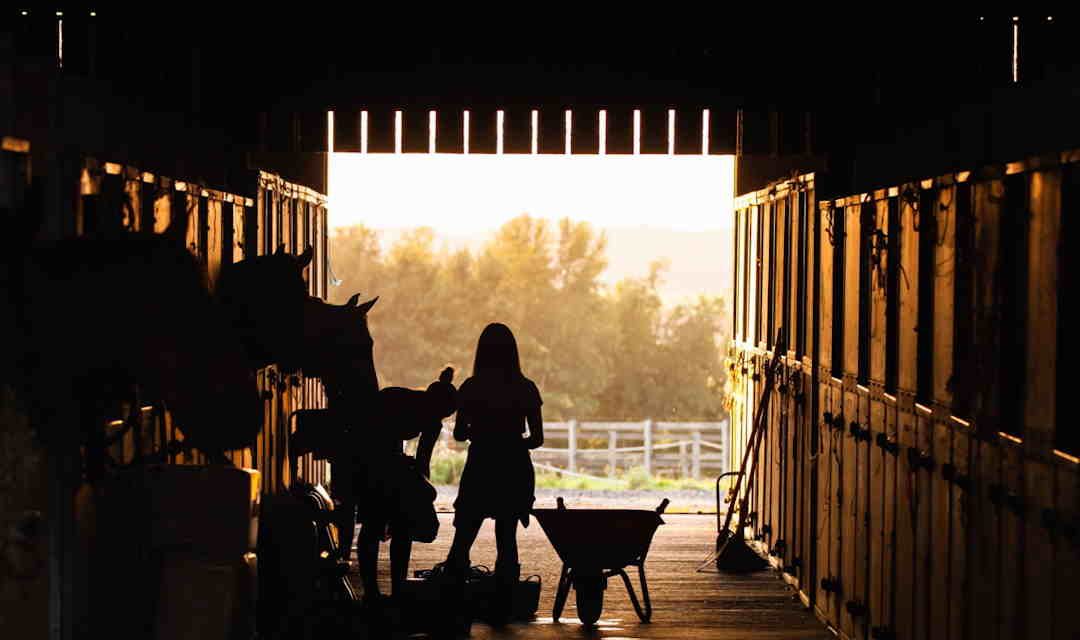 Biosikkerhed i hesteholdet: Sådan beskytter du dine heste mod sygdom