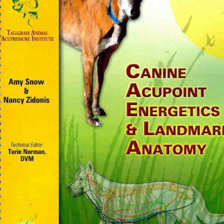 9781936796106 Canine Acupoint Energetics and Landmark Anatomy Manual Akupressur og akupunktur til hunde / bog
