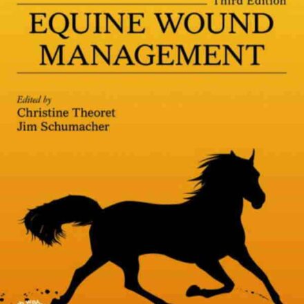 Guide til sårpleje på heste: