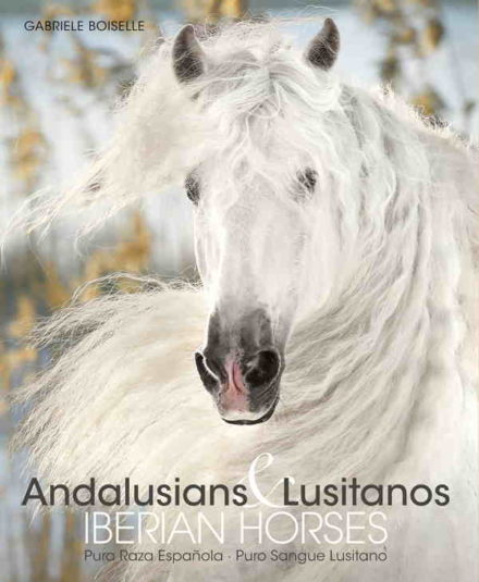 Andalusere & Lusitanoer