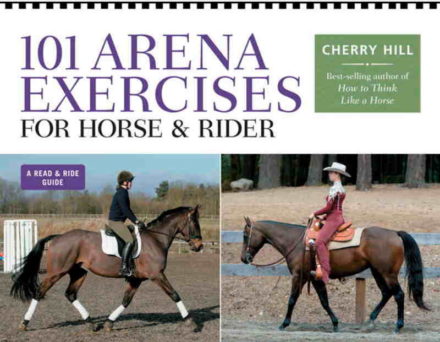101 Ridebaneøvelser for hest og rytter / bog