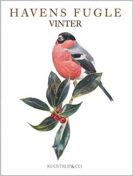 Havens fugle, Vinter / 8 brevkort med kuverter