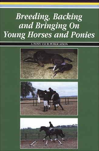 Avl, opdræt og tilridning af heste og ponyer