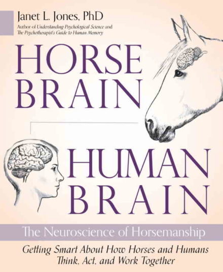 Hestehjerne, menneskehjerne. Hvordan vi agerer og samarbejder