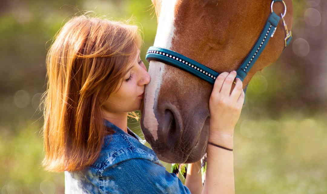 Hestens rolle som terapidyr for mennesker