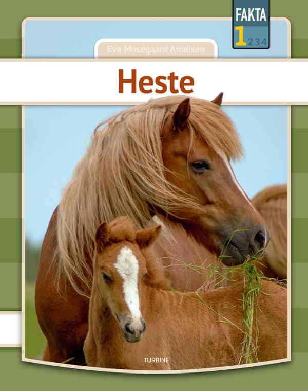 Heste / bog