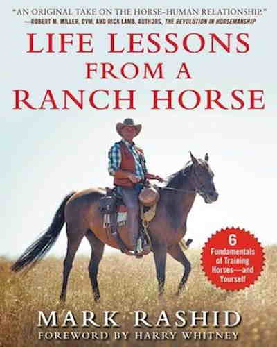 Lektioner fra en Western hest