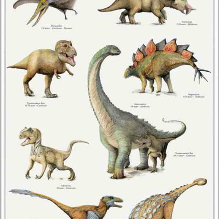 Dinosaur plakater