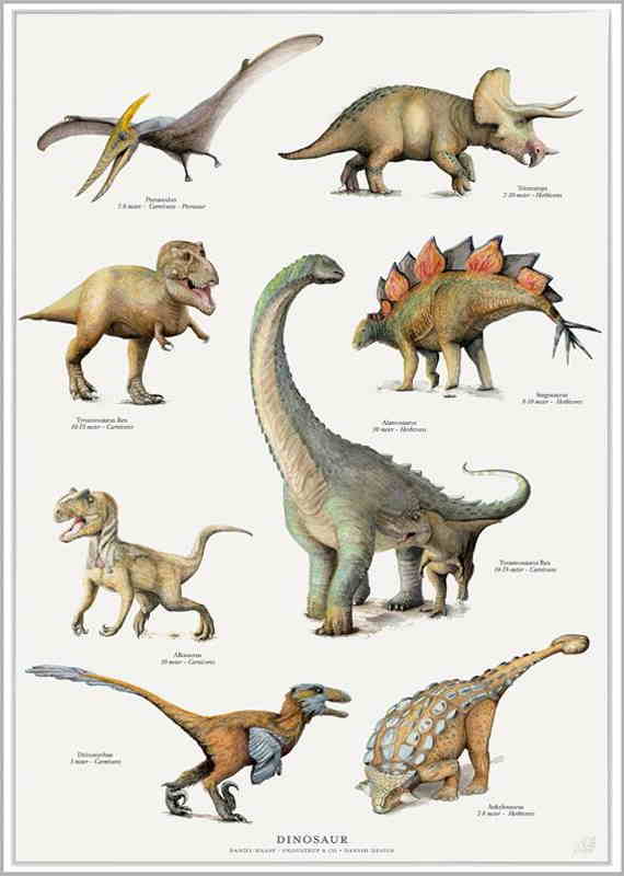 Fossiler & Dinosaur / Sæt á 2 plakater