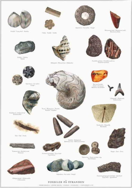 Fossiler plakat