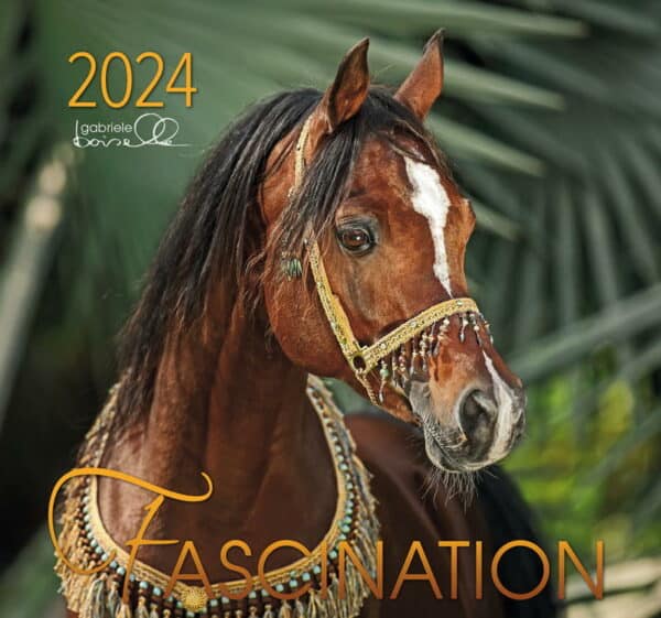 Hestejalender: Fascination 2024 med arabere: Stor vægkalender med 13 smukke fotos af arabere af Gabriele Boiselle; en super gaveidé. Mål: 58 x 62 cm, lavformat.